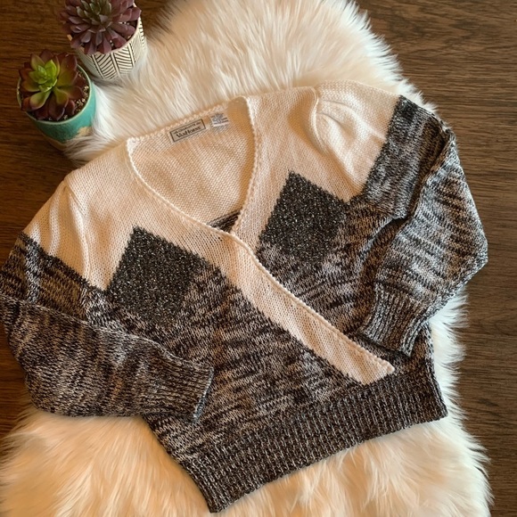 Vintage Sweaters - Vintage Charlotte Van Horne Colorblock Sweater